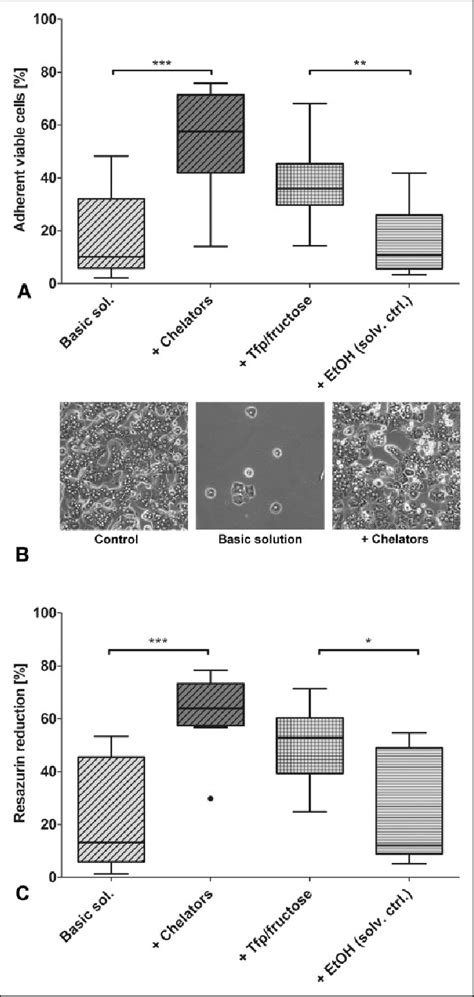 Cell Attachment And Metabolic Activity After 1 Wk Of Cold Storage Download Scientific Diagram