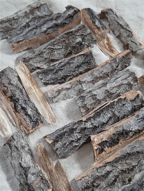 Natural Bark Wood Bark Pieces Decorative Real Bark Slices Etsy