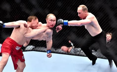 Elon Musk Fighting Vladimir Putin In The MMA Octagon Stable