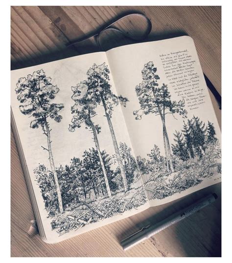 Artist Interview Jared Muralt Tree Sketches Sketch Book Art Drawings