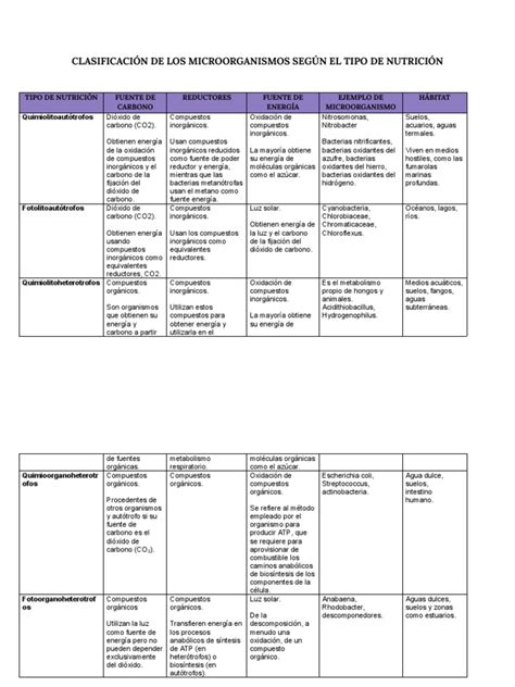 Clasificacion De Los Microorganismos Docx Pdf Química Biología