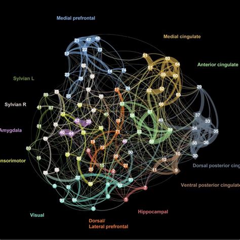 Selected Views Of The Functional Brain Networks Overlaid On D