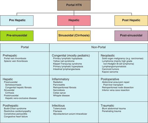 Portal Hypertension Classification