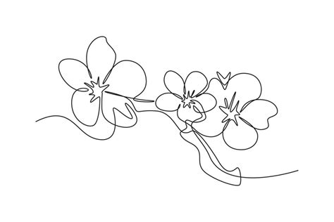 Continuous One Line Drawing Cherry Tree Spring Flower Cherry Blossom