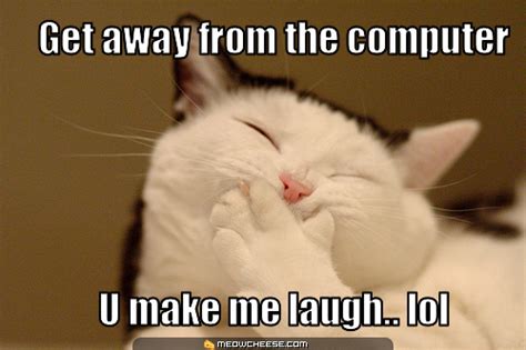 lol! funny cat! - Cats Photo (18081863) - Fanpop