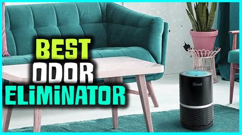 Best Odor Eliminators Buying Guide Top 5 Review 2023 Youtube