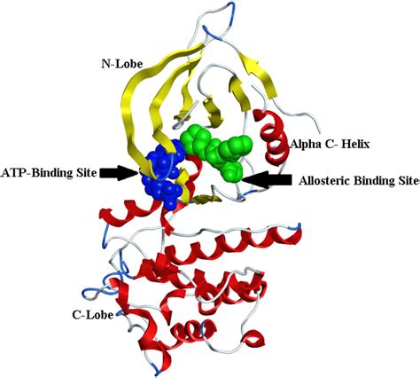 Insights Into Fourth Generation Selective Inhibitors Of C S Egfr