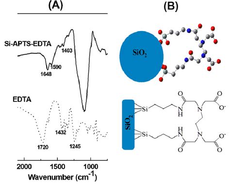 A Ir Vibrational Spectra Of Edta Dotted Line And Siaptsedta