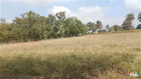 2 Acre 28 Guntas Land For Sale Near Gundalpet 8197434359 Youtube