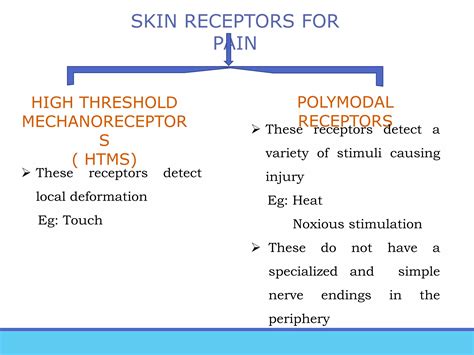 Pain pathways | PPT | Free Download