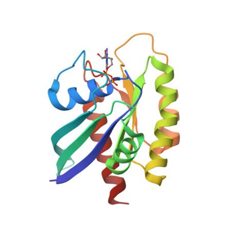 RCSB PDB 4OBE Crystal Structure Of GDP Bound Human KRas