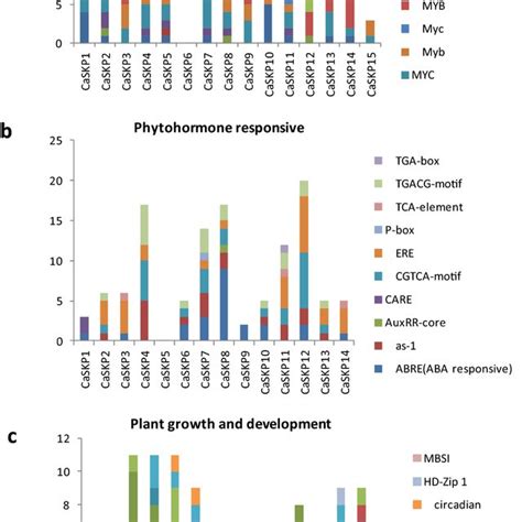 Identification Of Various Cis Regulatory Elements In Caskp Promoters Download Scientific