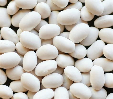 White Pea Beans Berhe Hagos Import And Export