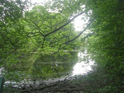 Farnley Hall Nature Reserve Fish Pond © Betty Longbottom