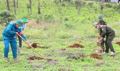 Đắk Nông Buộc Một Hộ Dân Di Dời Tài Sản Trả Lại 27ha đất Rừng