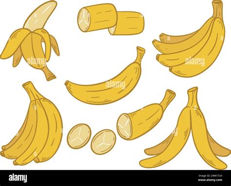 Hand Drawn Ripe Bananas Set Vector Graphics Bunch Of Bananas Single Fruit Opened Banana Cut