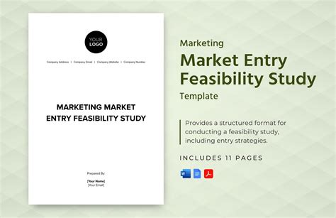 Marketing Market Entry Feasibility Study Template In PDF Word Google