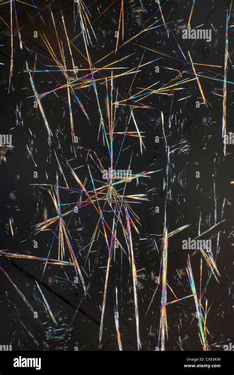 Caffeine Crystals Photomicrograph Viewed By Polarized Light Stock