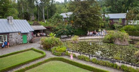 Mascarin Le Jardin Botanique Propose Des Activit S Pour Les Vacances