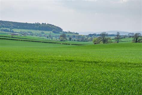 Field © Ian Capper cc-by-sa/2.0 :: Geograph Britain and Ireland 