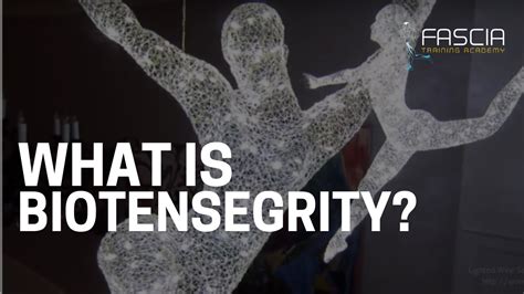 What is Biotensegrity? - FASCIA TRAINING ACADEMY