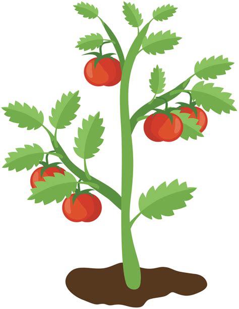 OnlineLabels Clip Art - Tomato Plant
