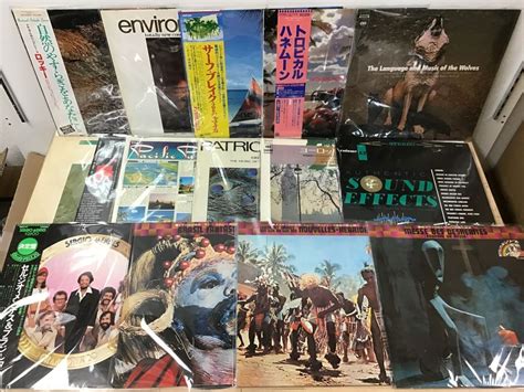 【傷や汚れあり】lp フィールドレコーディング 世界の民族音楽 他 レコード まとめ 南アフリカ 環境音 ブラジル 14点セット