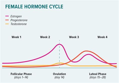 What Causes Mood Swings During Periods Embrace