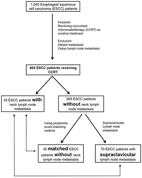 Algorithm For Identifying Locally Advanced Inoperable Thoracic Download Scientific Diagram