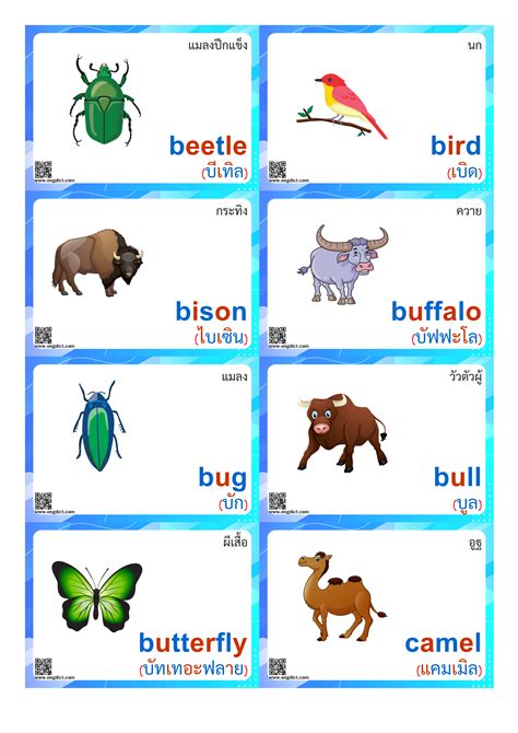 Flashcards บัตรคำศัพท์ภาษาอังกฤษหมวดสัตว์