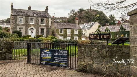 Fairy Glen Fairy Culture Ireland Kilbroney Park Rostrevor Connollycove