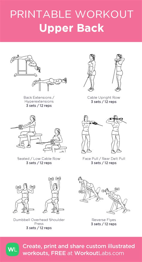 Upper Back My Visual Workout Created At WorkoutLabs Gym