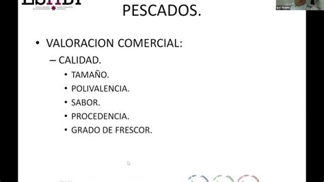 Clasificacion De Los Pescados Actualizado Enero 2025