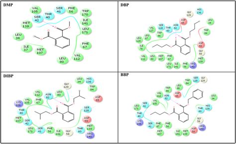 Amino Acid Residues In The Binding Pocket Of Human Sex Hormone Binding Download Scientific