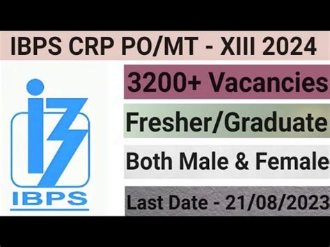 IBPS CRP PO MT XIII 2024 25 IBPS Bank Job Notification 2023 IBPS