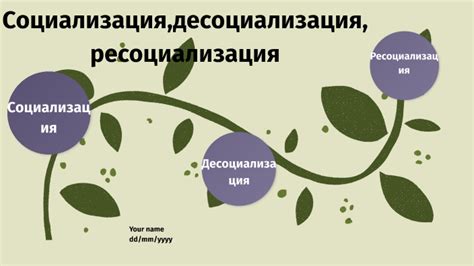 Социализация,десоциализация,ресоциализация by Елизавета Ко on Prezi