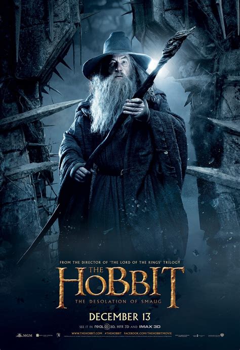 The Hobbit The Desolation Of Smaug 28 Of 33 Extra Large Movie