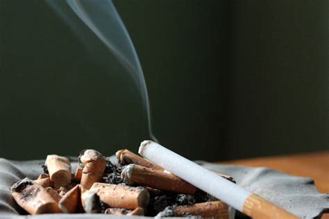 Como tirar cheiro de cigarro de dentro de casa Boa Informação