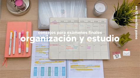 C Mo Organizarse Y Estudiar Para Ex Menes Finales M Todos De