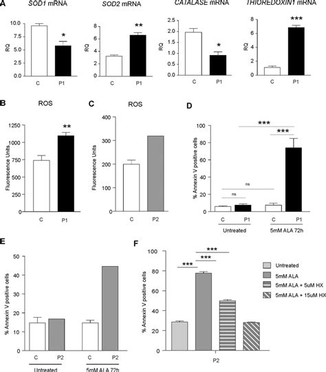 Flvcr Mutations Induce Oxidative Stress And Increase The Sensitivity