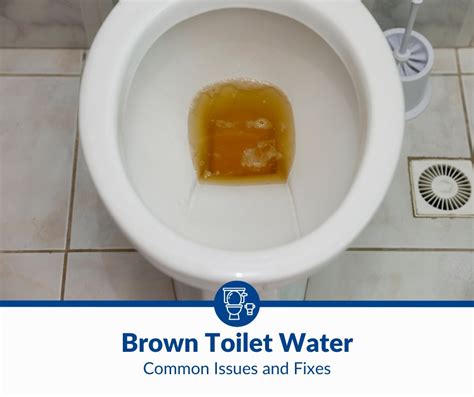 Brown Toilet Water Why Is My Toilet Water Brown