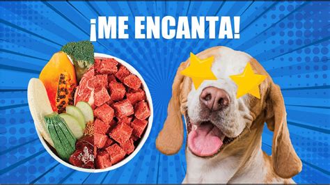 La Dieta Más Saludable Y Natural Para Perros 🥩🐶 Youtube