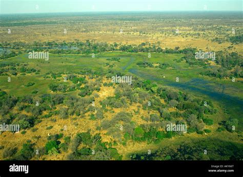 Aerial View Of The Okavango Delta Botswana Stock Photo Alamy