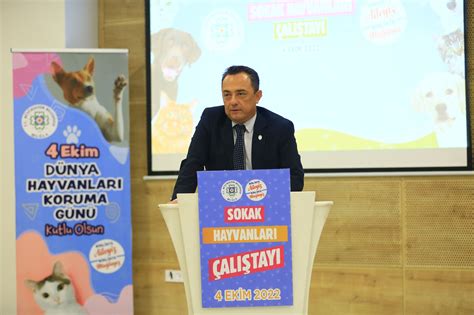 Büyükşehirden Candostlar için Sokak Hayvanları Çalıştayı