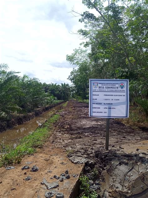 Peningkat Jalan Usaha Tani Desa Sidomulyo Kabupaten Banyuasin