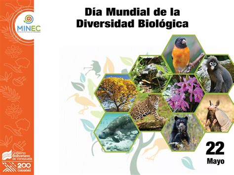 Este Sábado Se Celebra El Día Internacional De La Diversidad Biológica Minec