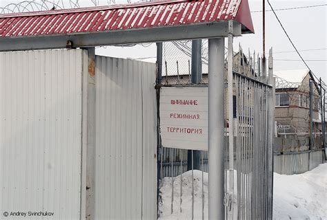 Женская колония » BigPicture.ru