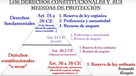 Derechos Constitucionales Derechos Fundamentales Y Principios Rectores