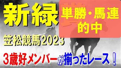 新緑賞【笠松競馬2023予想】実績馬vs上がり馬 Youtube