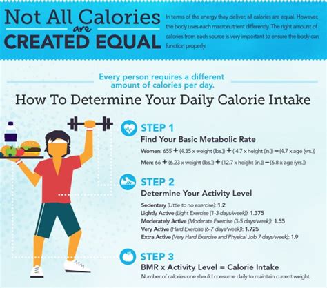 Determine Your Daily Calorie Intake Valuable Info For Phase